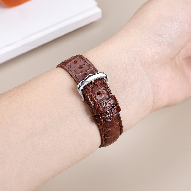 16mm 17 18 19 21 22mm tali bua - Cartier Watch Tank ulasan dan harga